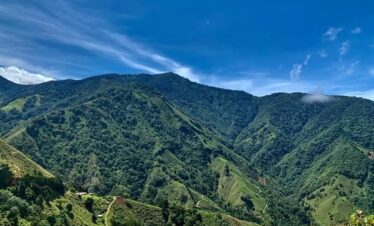 Ruta Siberia Mills