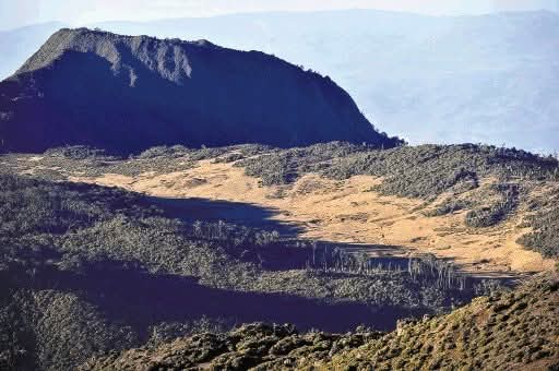 001_Sabana_Los_Leones_PORTADA