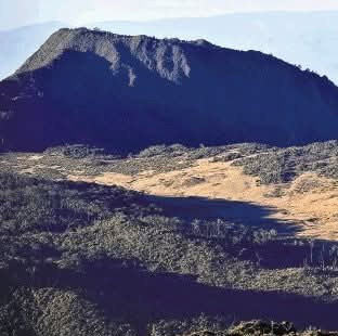 002preview_mejores_tours_Sabana_de_los_leones