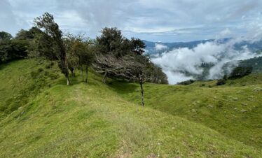 CERRO DRAGON