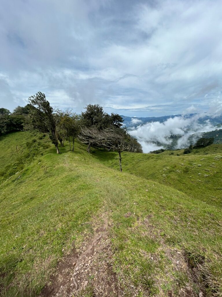 CERRO DRAGON