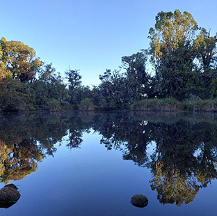 004preview_mejores_tours_Cerro_Vueltas_y_Palangana