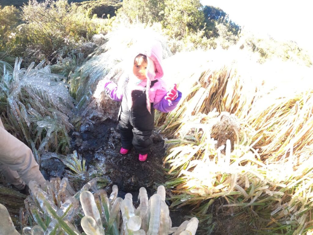 Bebé en el paramo, Parque Nacional Chirripo, Costa Rica