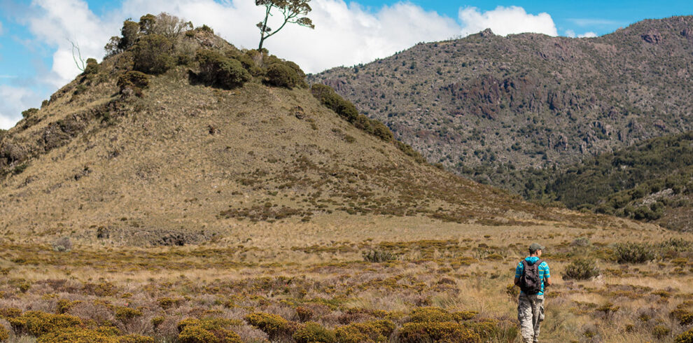 Sabana de Los Leones, Parque Nacional Chirripo, Costa Rica