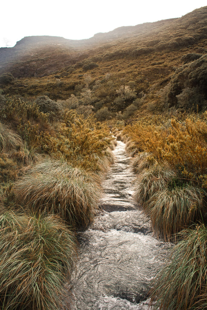 Riachuelo en medio del paramo, Parque Nacional Chirripo, Costa Rica