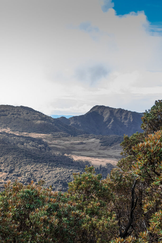 Sabana de Los Leones, Parque Nacional Chirripo, Costa Rica