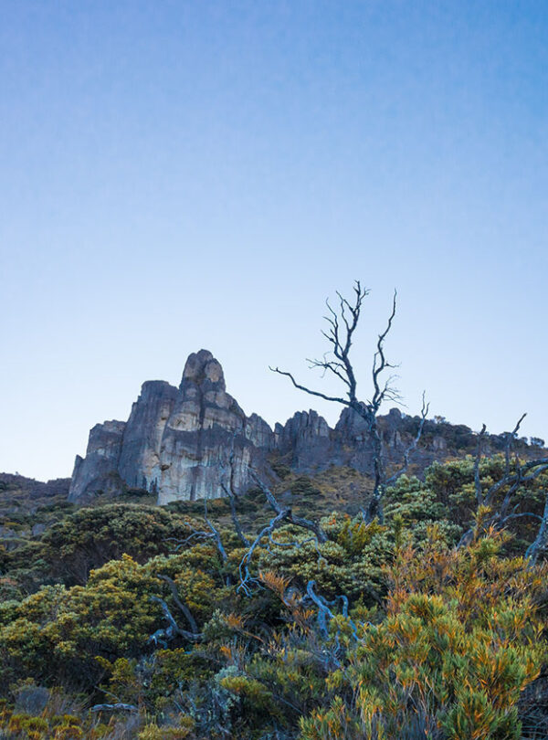 Vista frontsl de una formacion rocosa llamada Crestones en el Parque Nacional Chirripo en Costa Rica en un dia despejado en el paramo