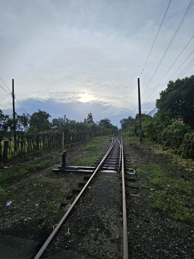 LINEAS DEL TREN