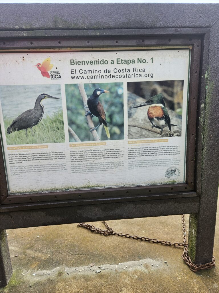 Rotulo etapa 1