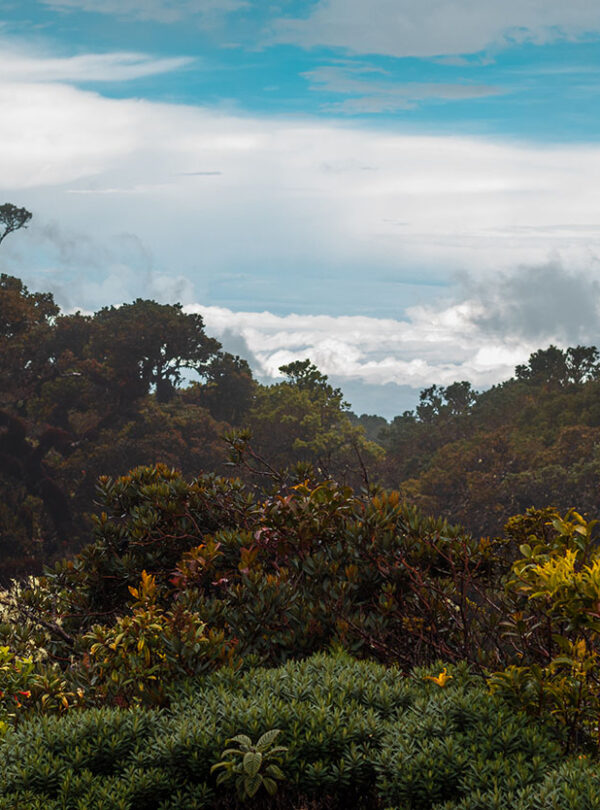 Páramo, San Jerónimo de Pérez Zeledón