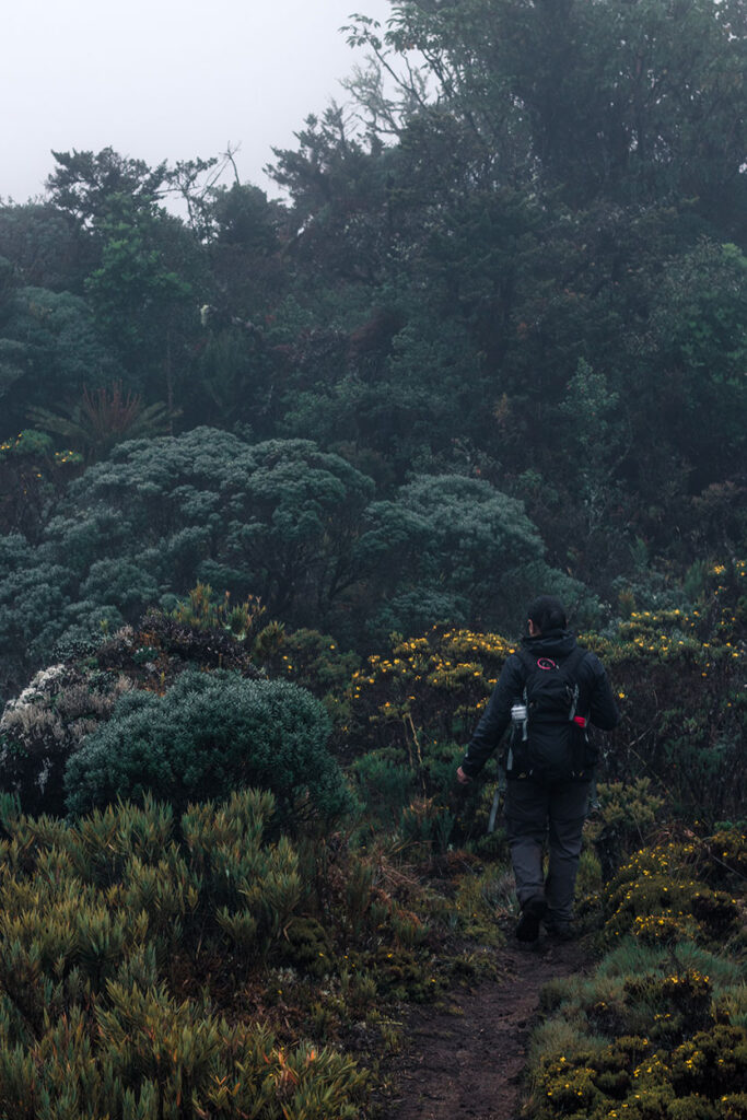 Caminante en el Sendero en el Páramo del Cerro Ena, San Jerónimo de Pérez Zeledón