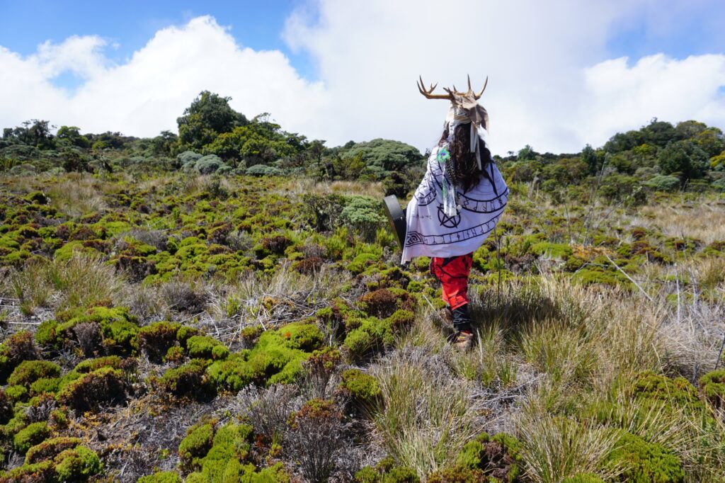 Vikingo en el Paramo