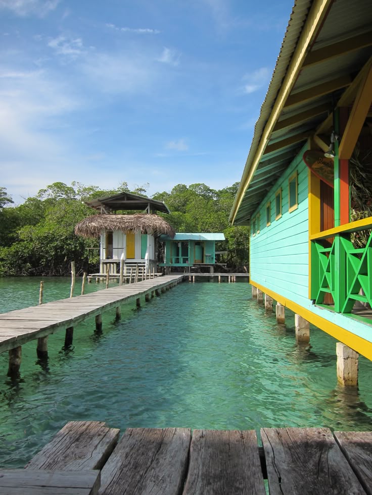 Bocas del toro
