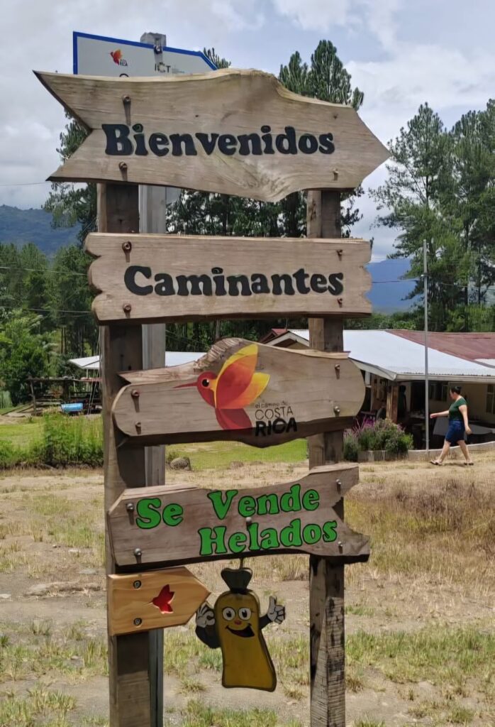 ROTULO ETAPA 7