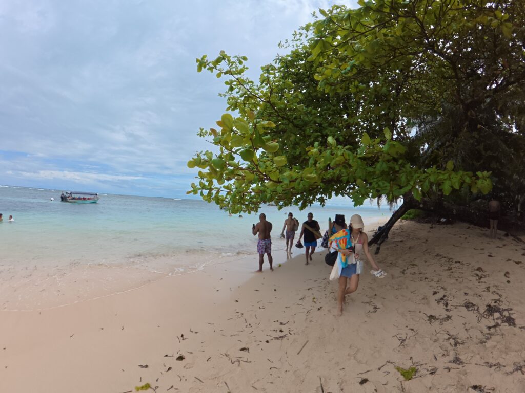 Bocas del toro